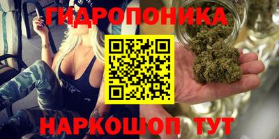 ешки Тара